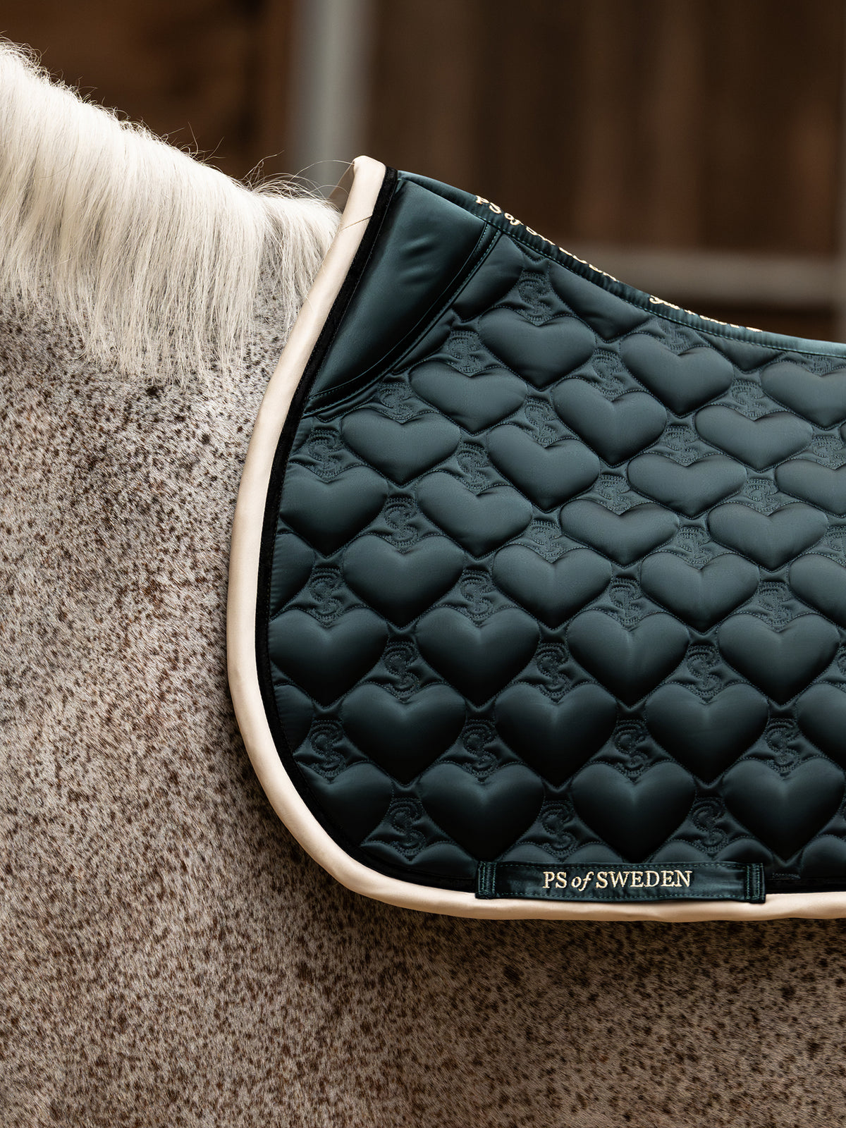 Saddle Pad Heart Jump Mystic Forest