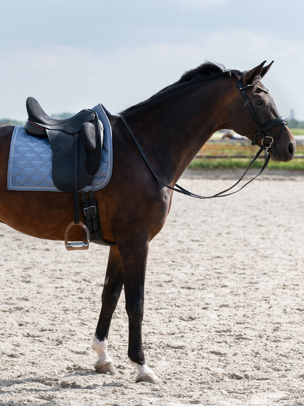 Saddle Pad Heart Dressage Mist blue