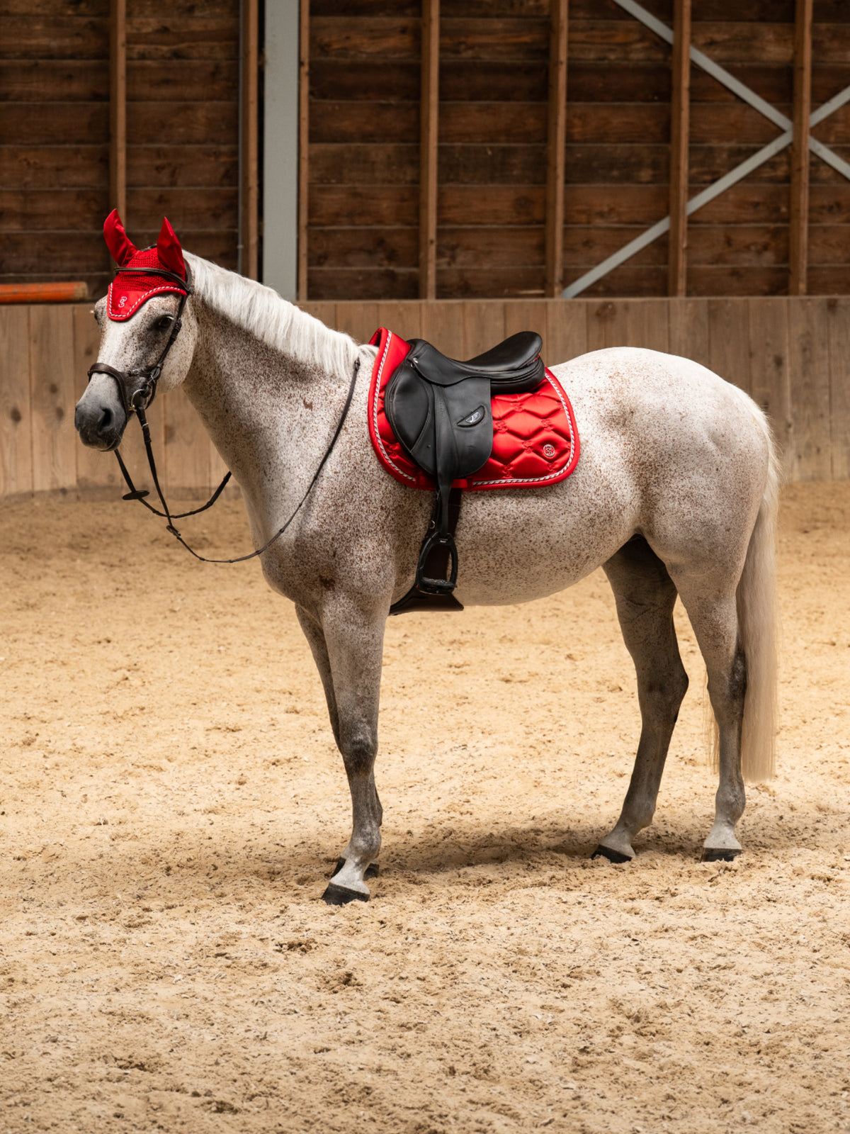 Saddle Pad Jump Signature - Cranberry Red