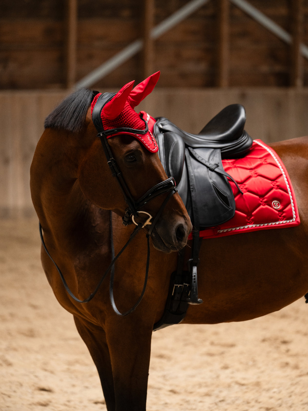 Saddle Pad Dressage Signature - Cranberry Red