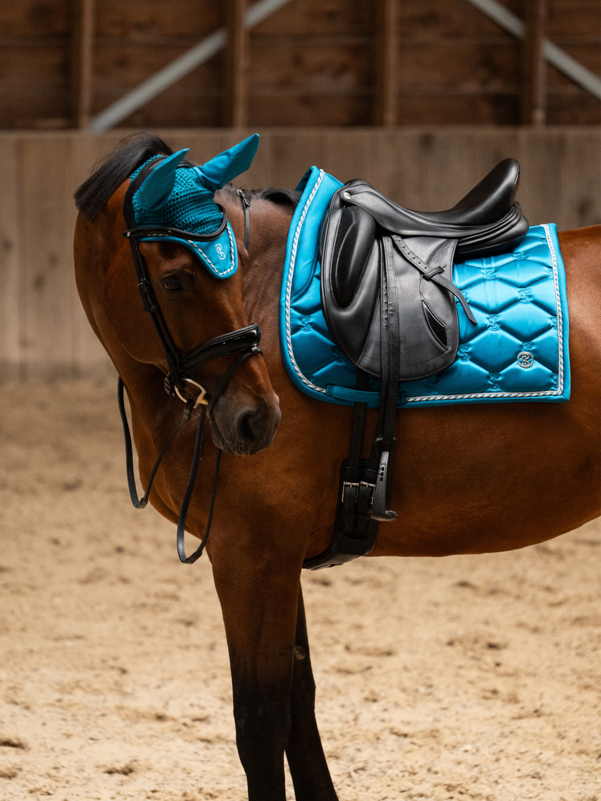 Saddle Pad Dressage Signature - Evening Teal