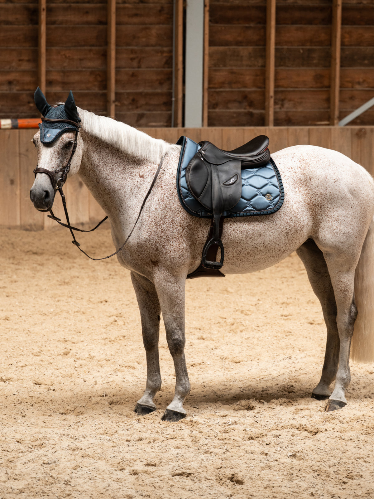 Saddle Pad Jump Ruffle Pearl - Shadow Blue