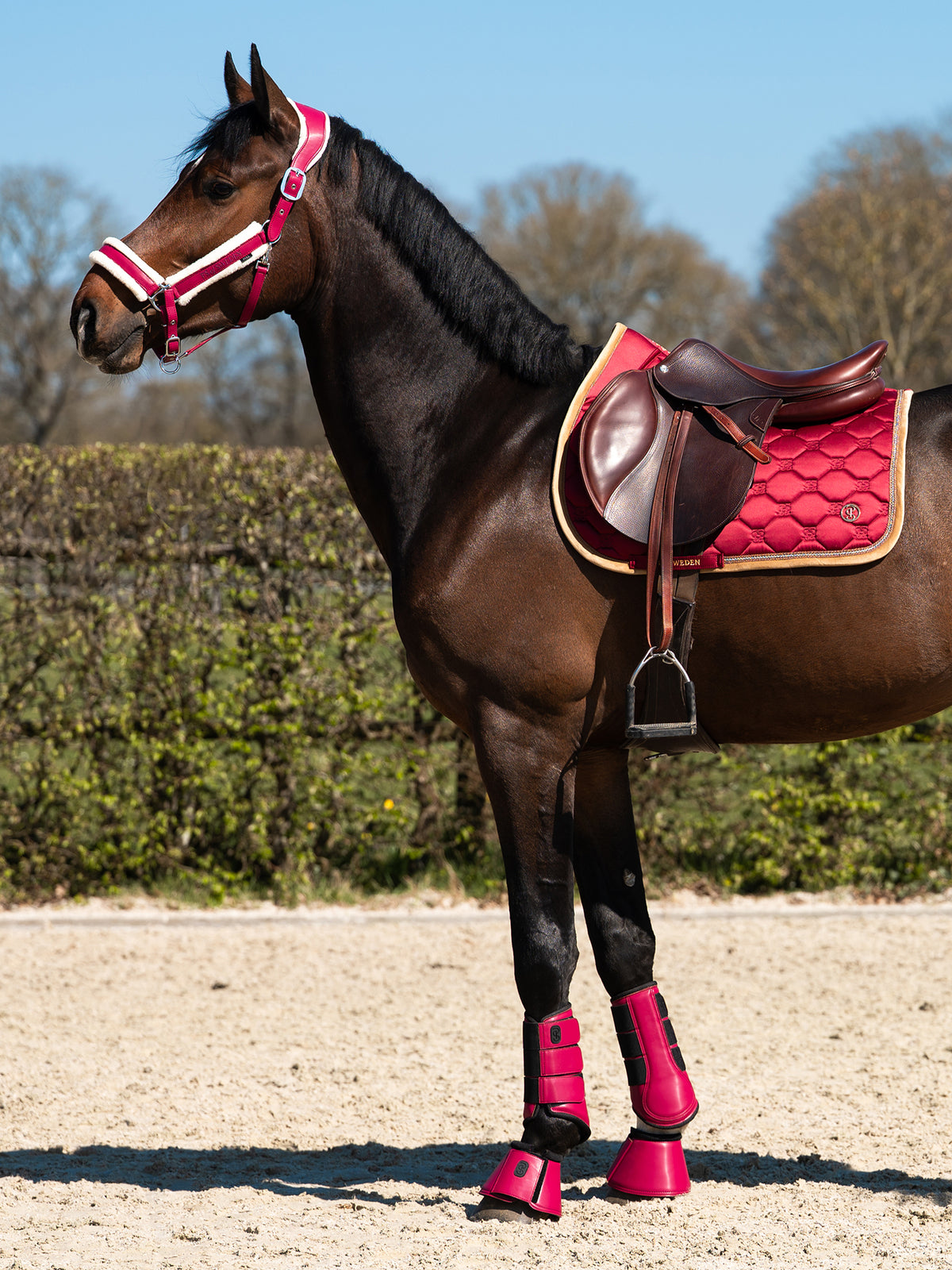 Bell Boots Premium Mesh Midnight Fuchsia