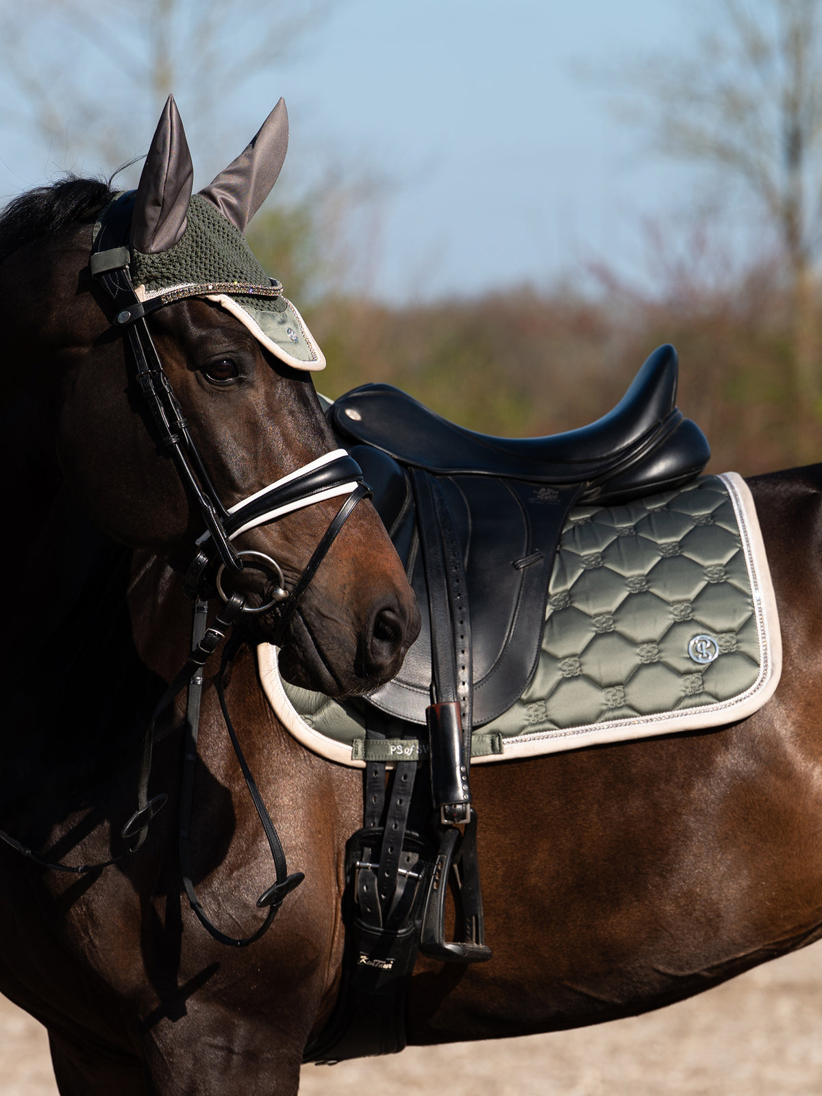 Vintage Monogram Dressage Saddle Pad Mist Green