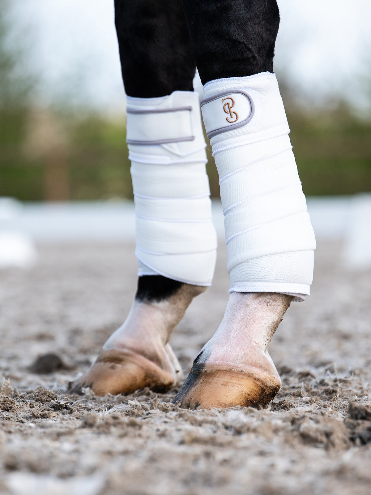Airflow Mesh Polos 2-Pack White