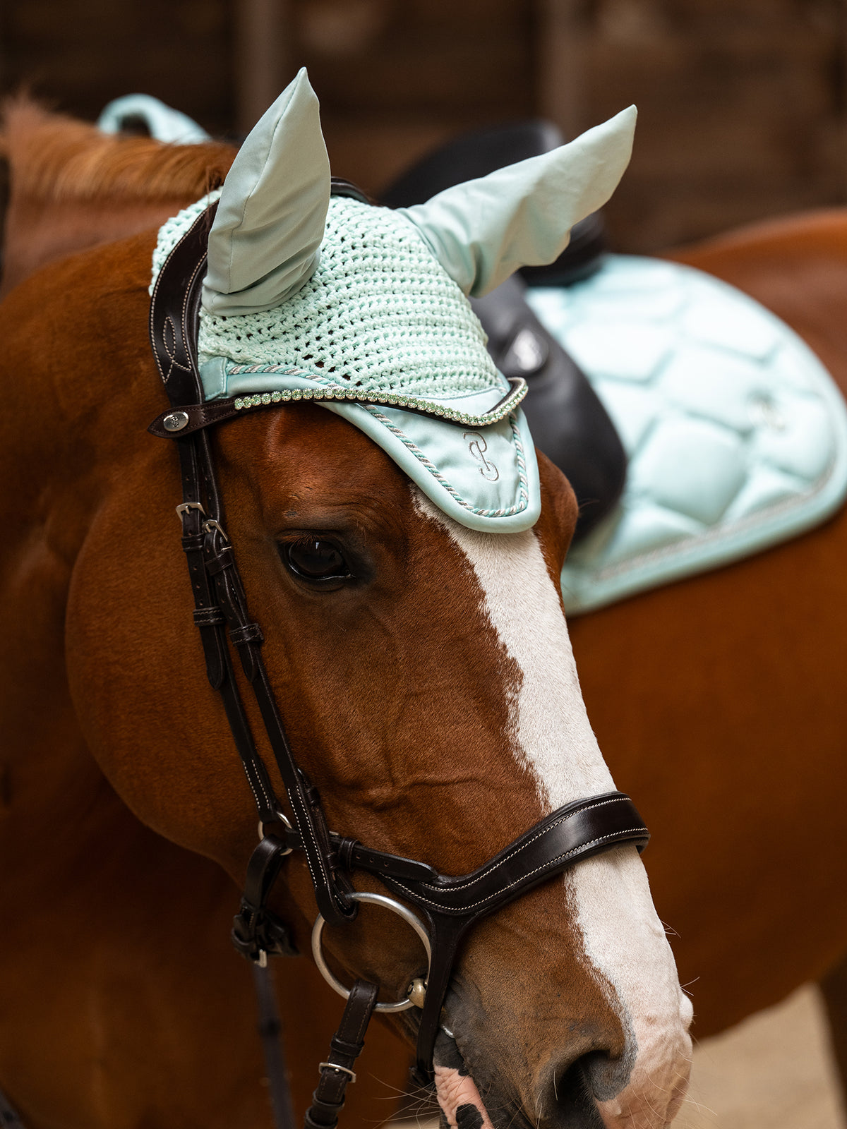 Browband Slim Arctic Aqua Brown Leather