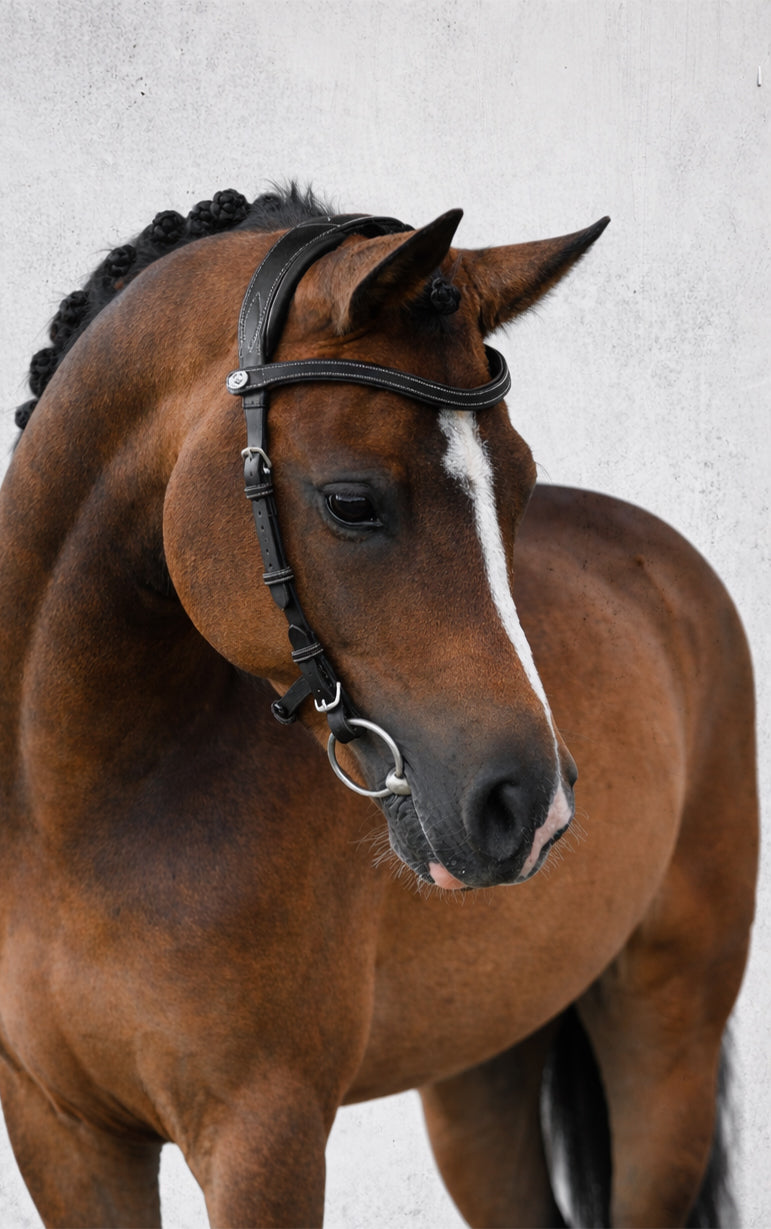 Bridle Helsinki Pony Black Leather