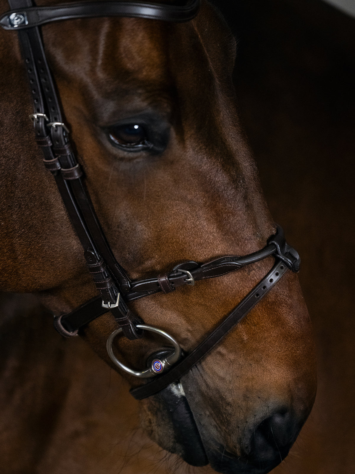 Bridle, Mary Lou By Henrik Von Eckermann Brown Leather