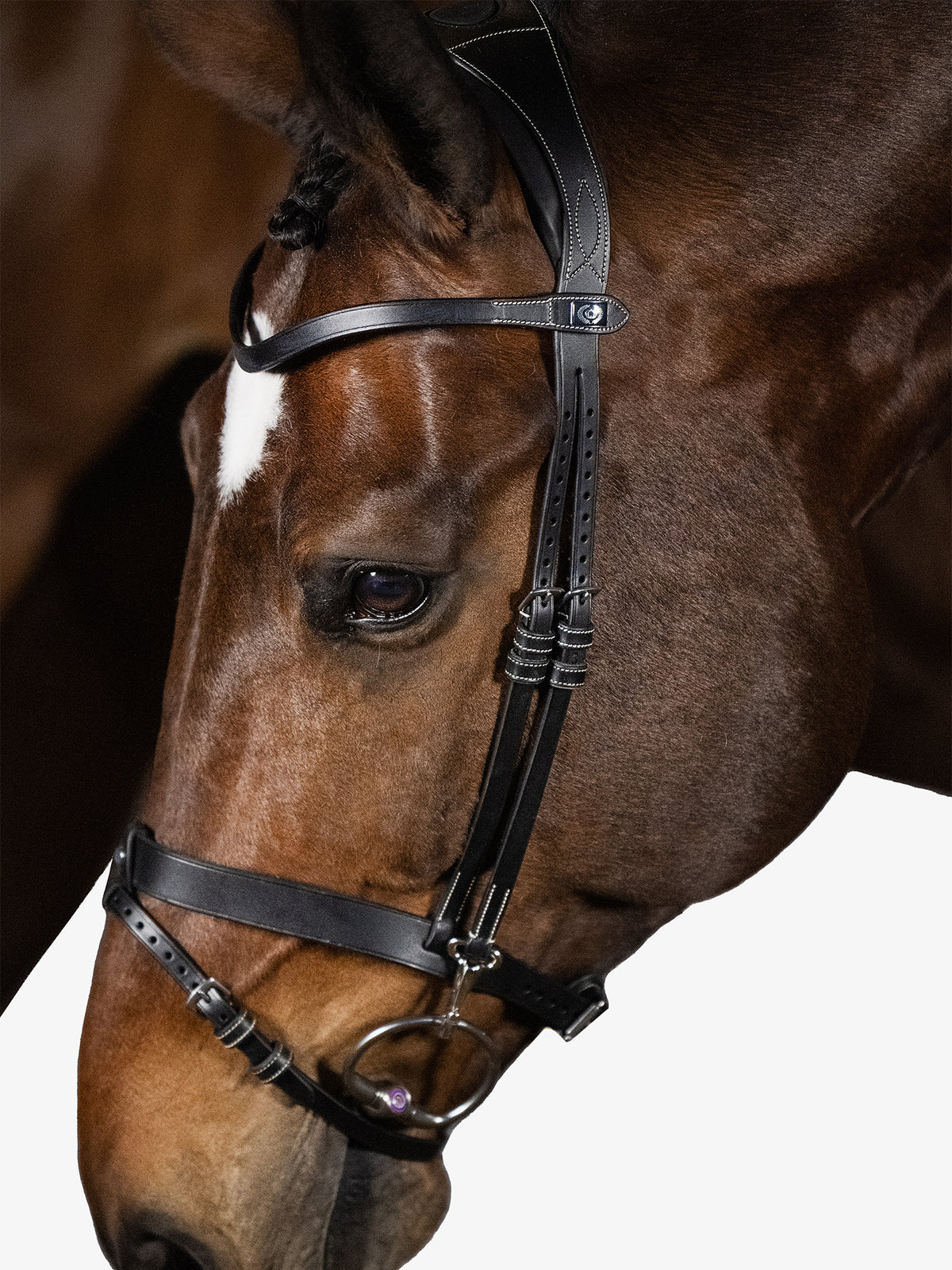 Bridle London Black Leather