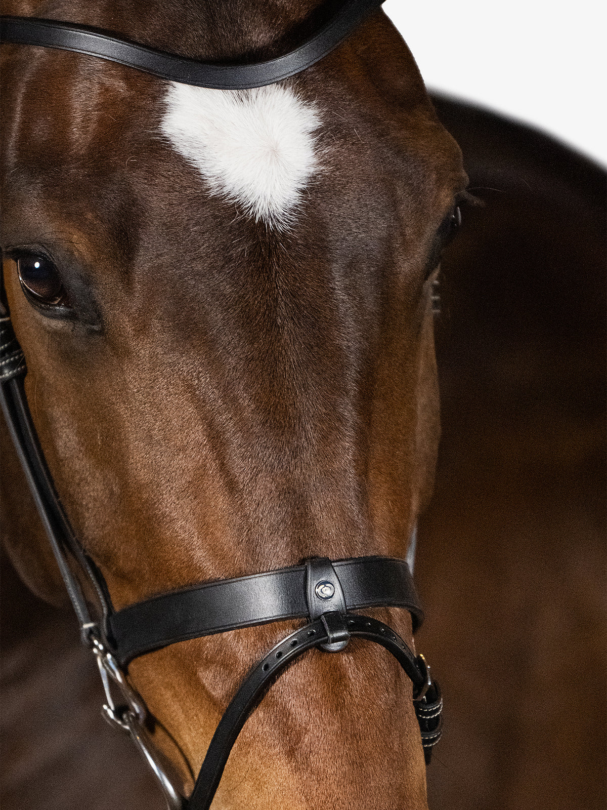 Bridle London Black Leather