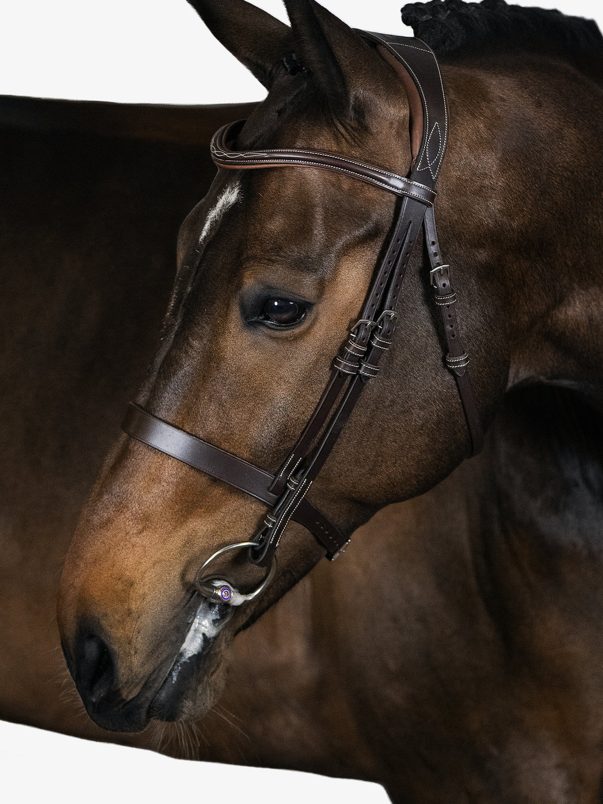 Bridle Wellington Brown Leather