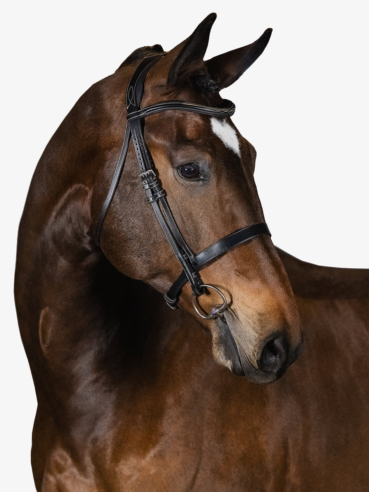 Bridle Wellington Black Leather