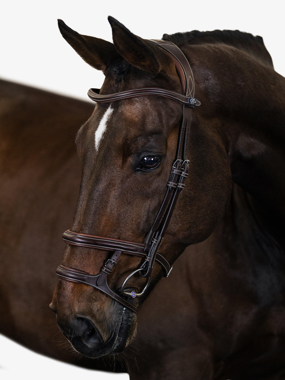 Bridle Paris Brown Leather