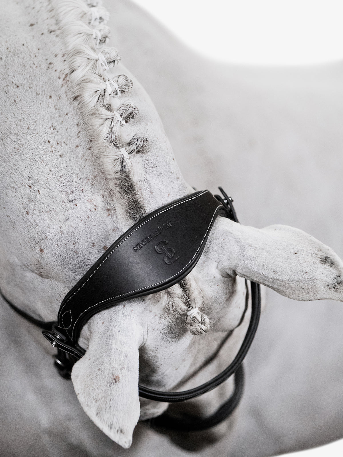 Bridle Ocala Black Leather