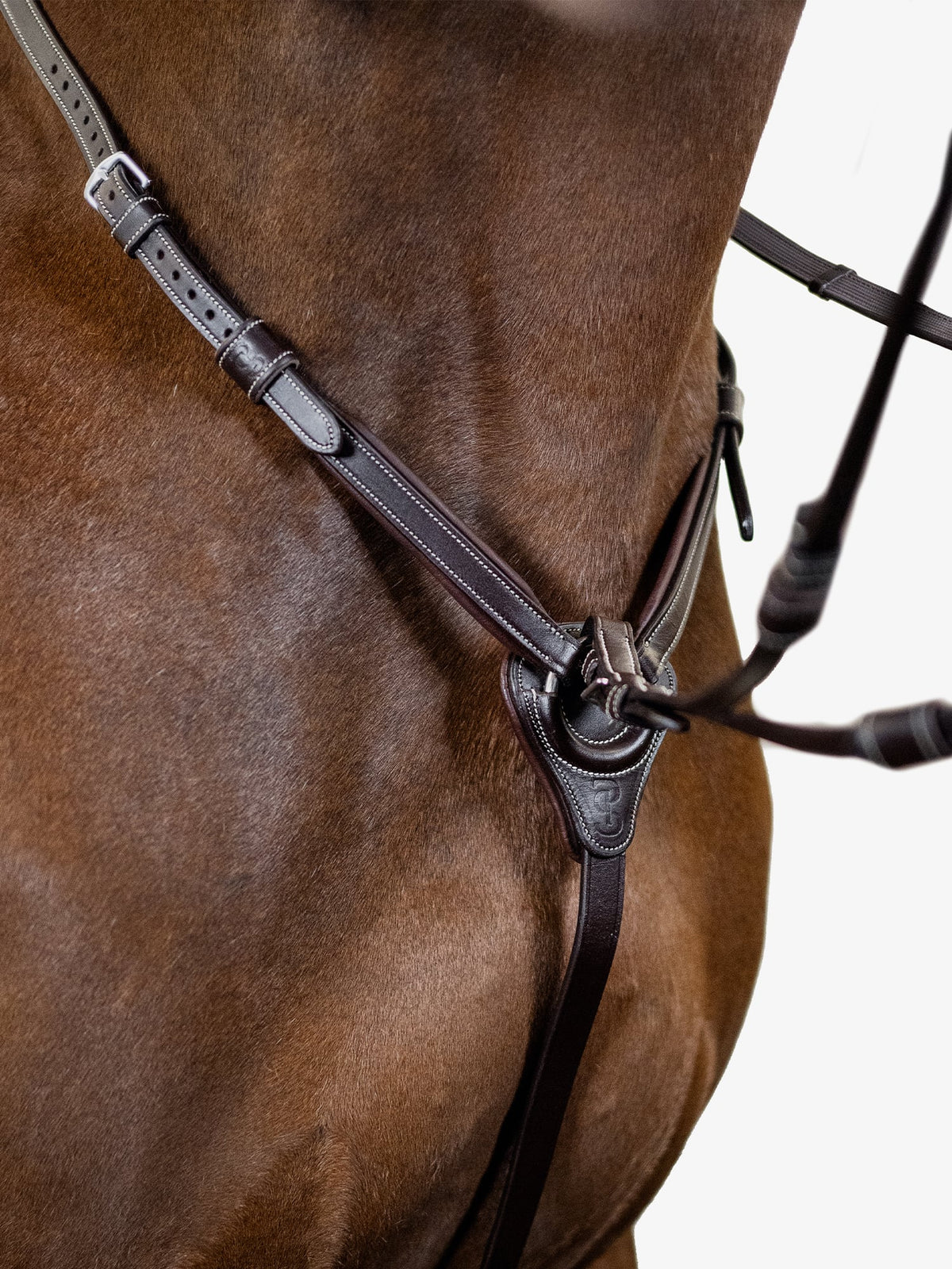 Martingale Seoul Brown Leather