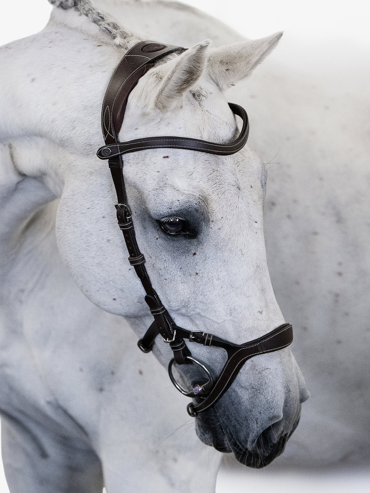 Bridle Nirak Brown Leather