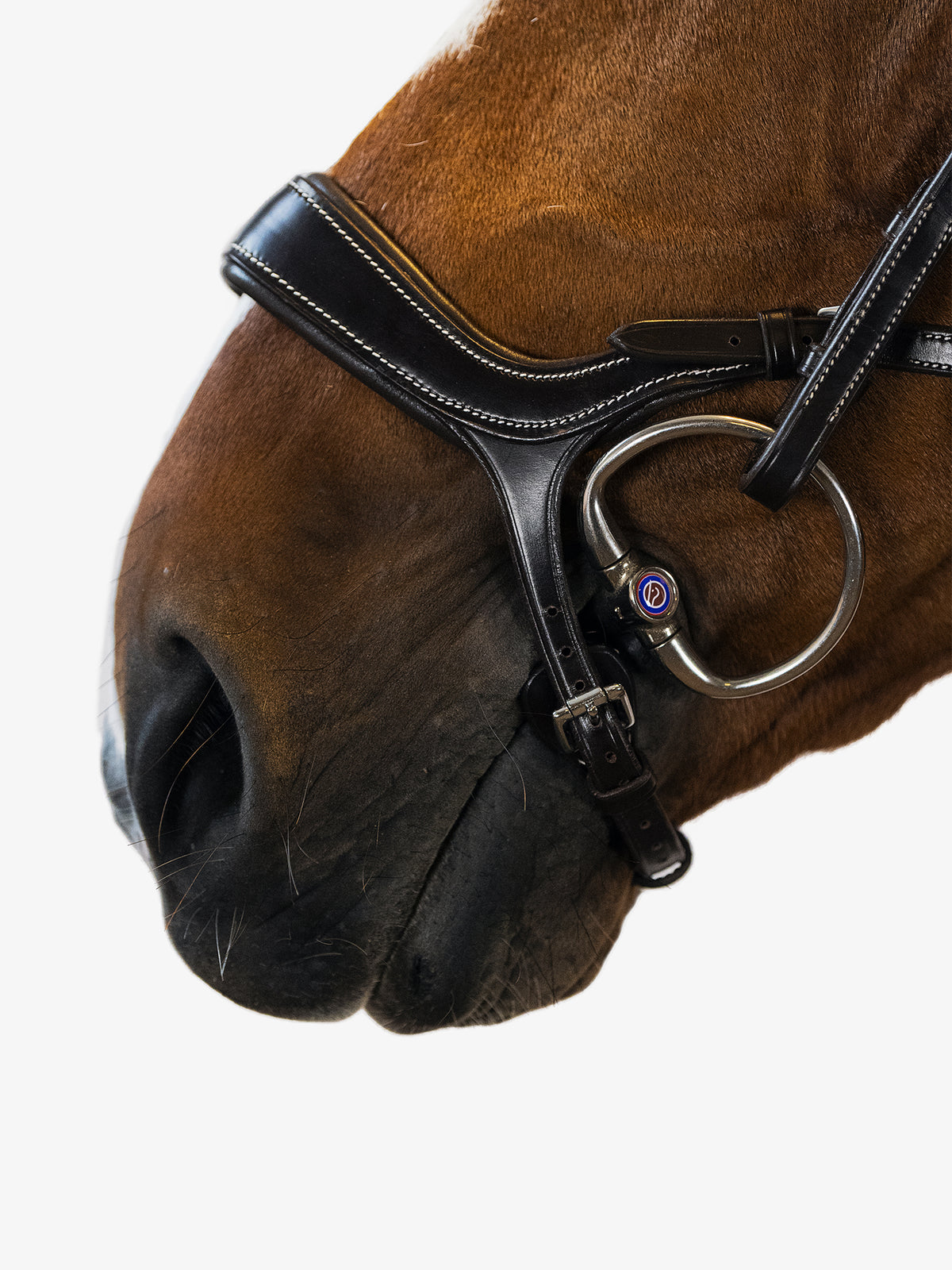 Bridle Pioneer Brown Leather