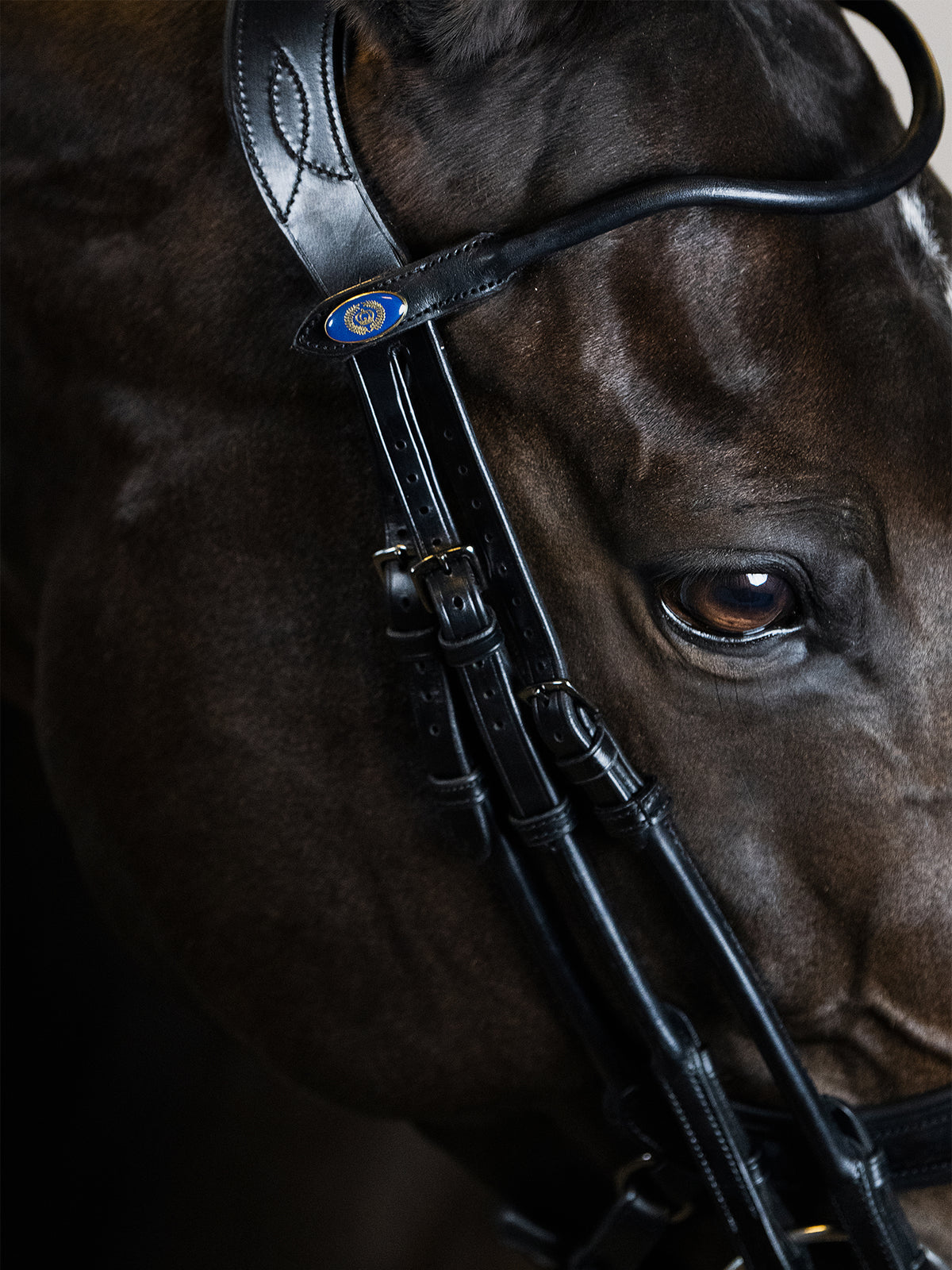 Double Bridle Paragon Black Leather