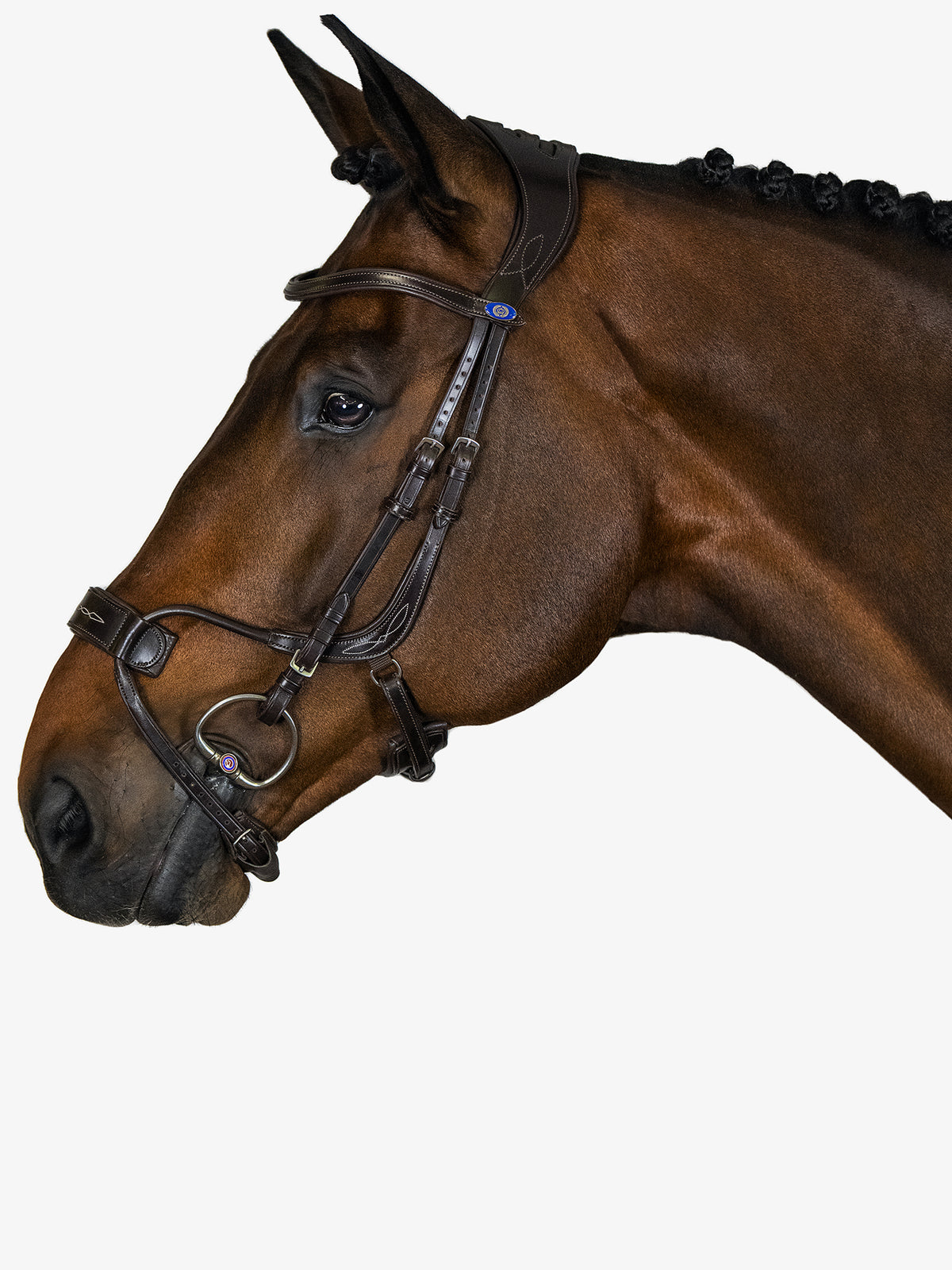 Bridle High Jump Brown Leather