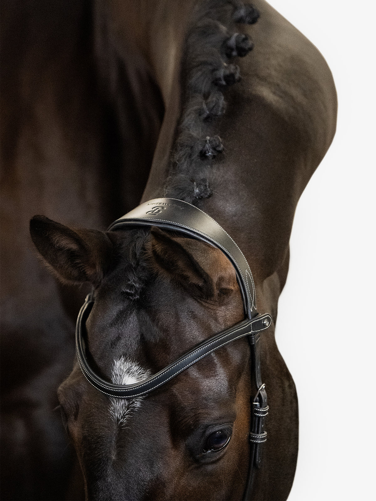 Bridle Helsinki Black Leather