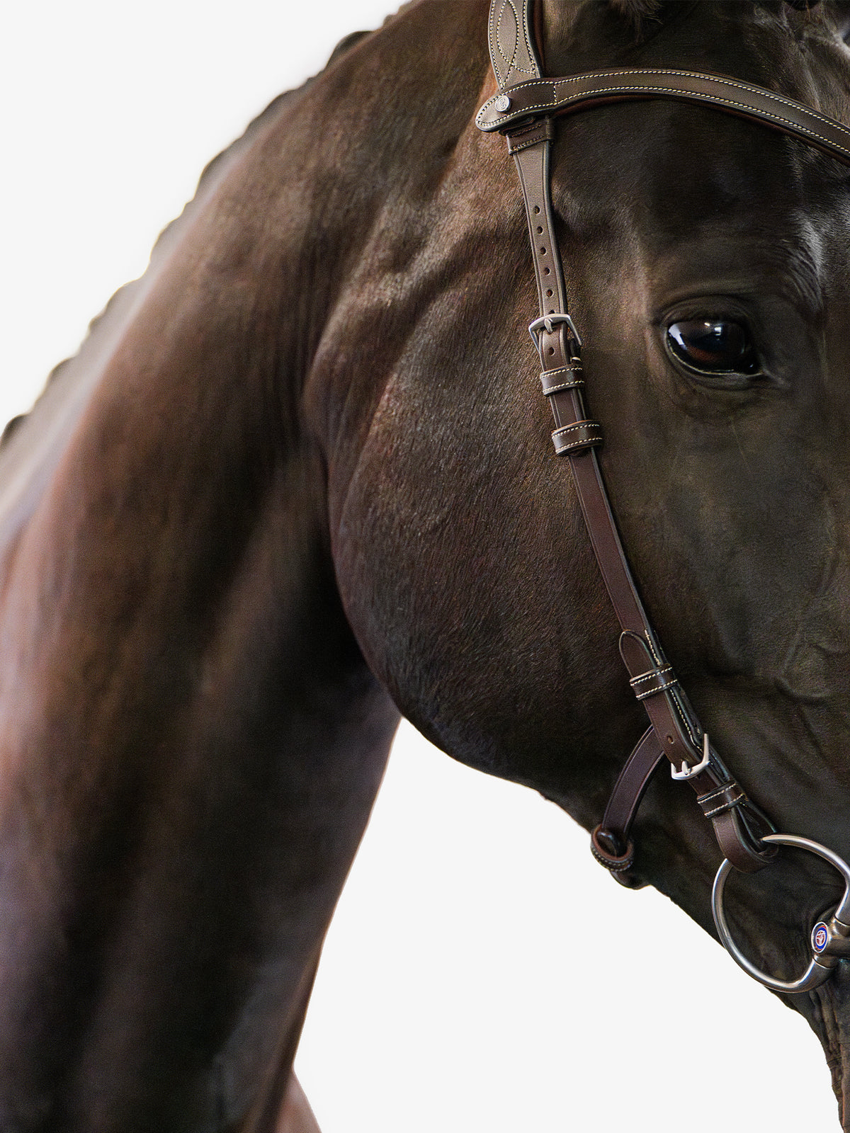 Bridle Helsinki Brown Leather
