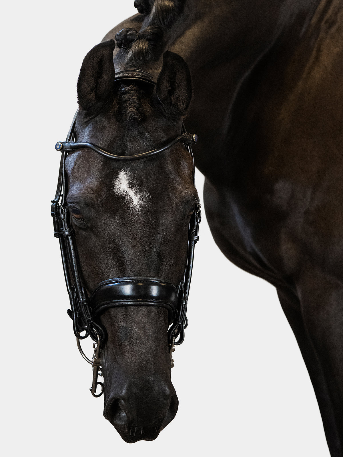 Double Bridle Passage Black Leather