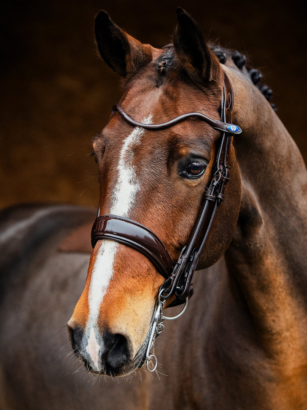 Double Bridle Passage Brown | Lacquer