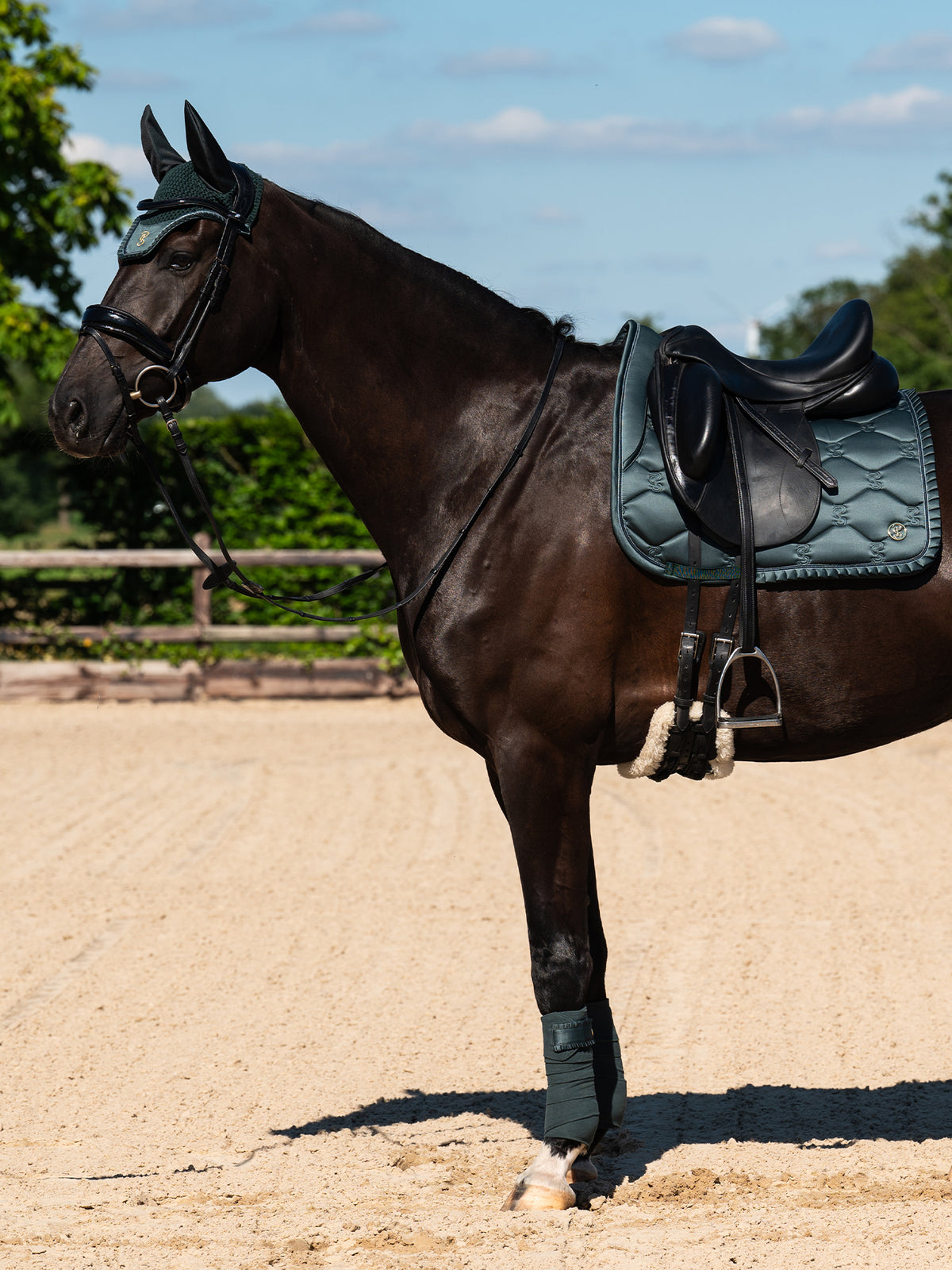 Saddle Pad Dressage Ruffle  - Midnight green