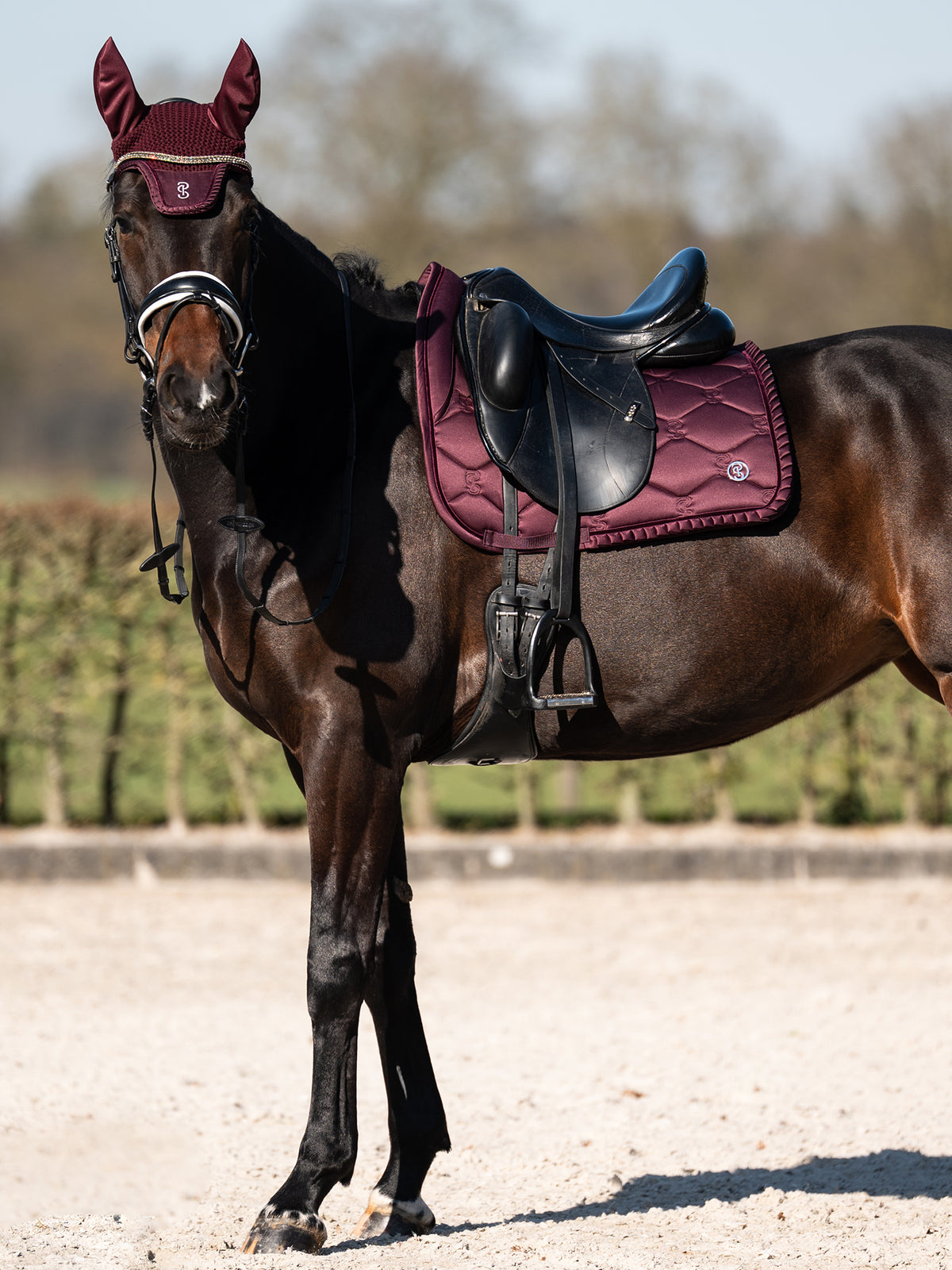 Saddle Pad Dressage Ruffle Plum