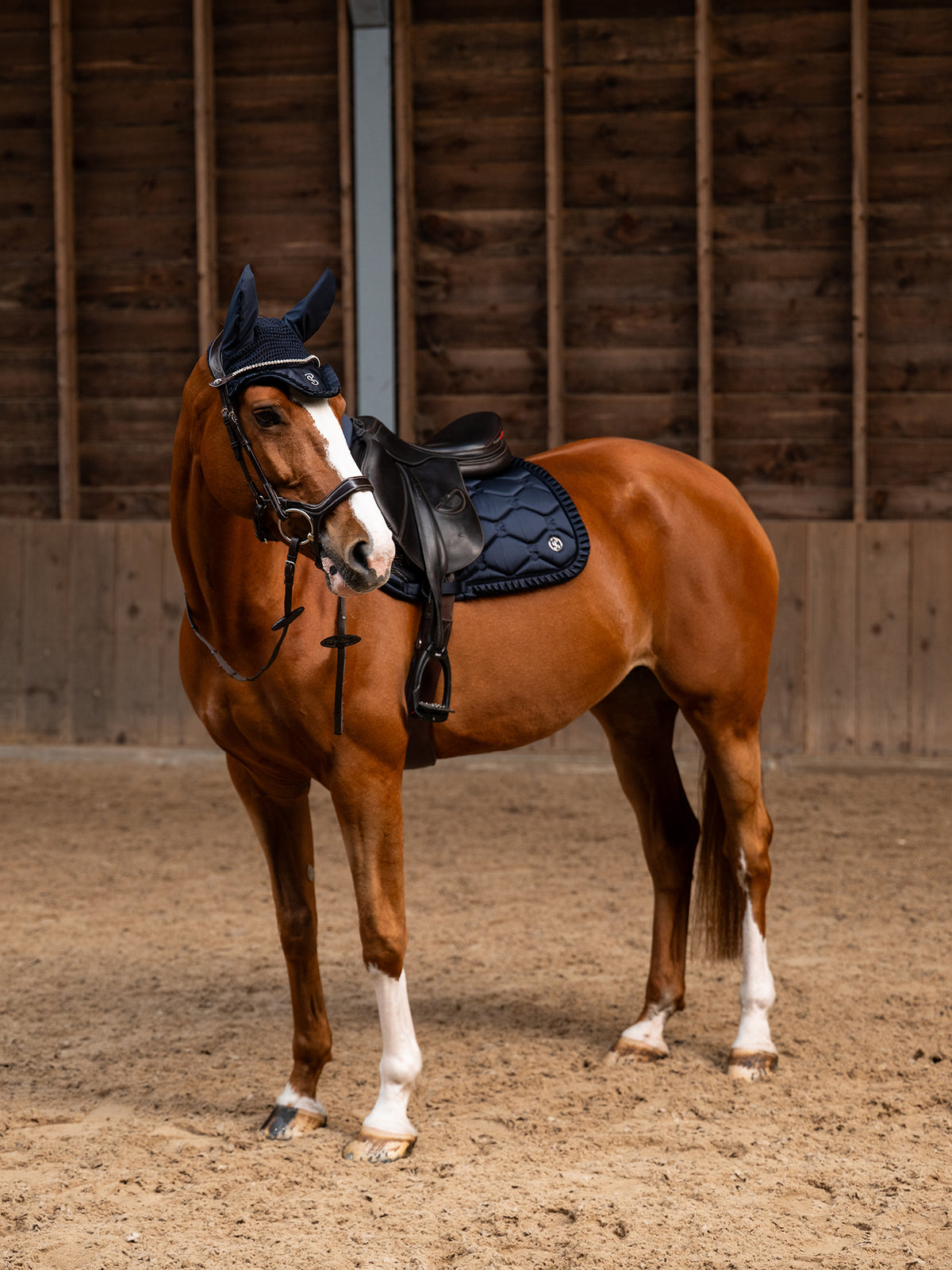 Saddle Pad Jump Ruffle - Navy