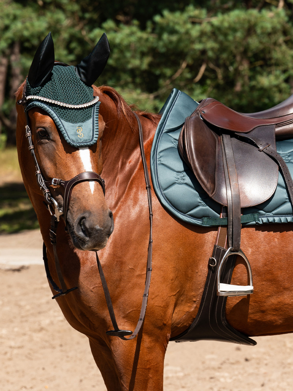 Ear Bonnet Ruffle - Midnight green