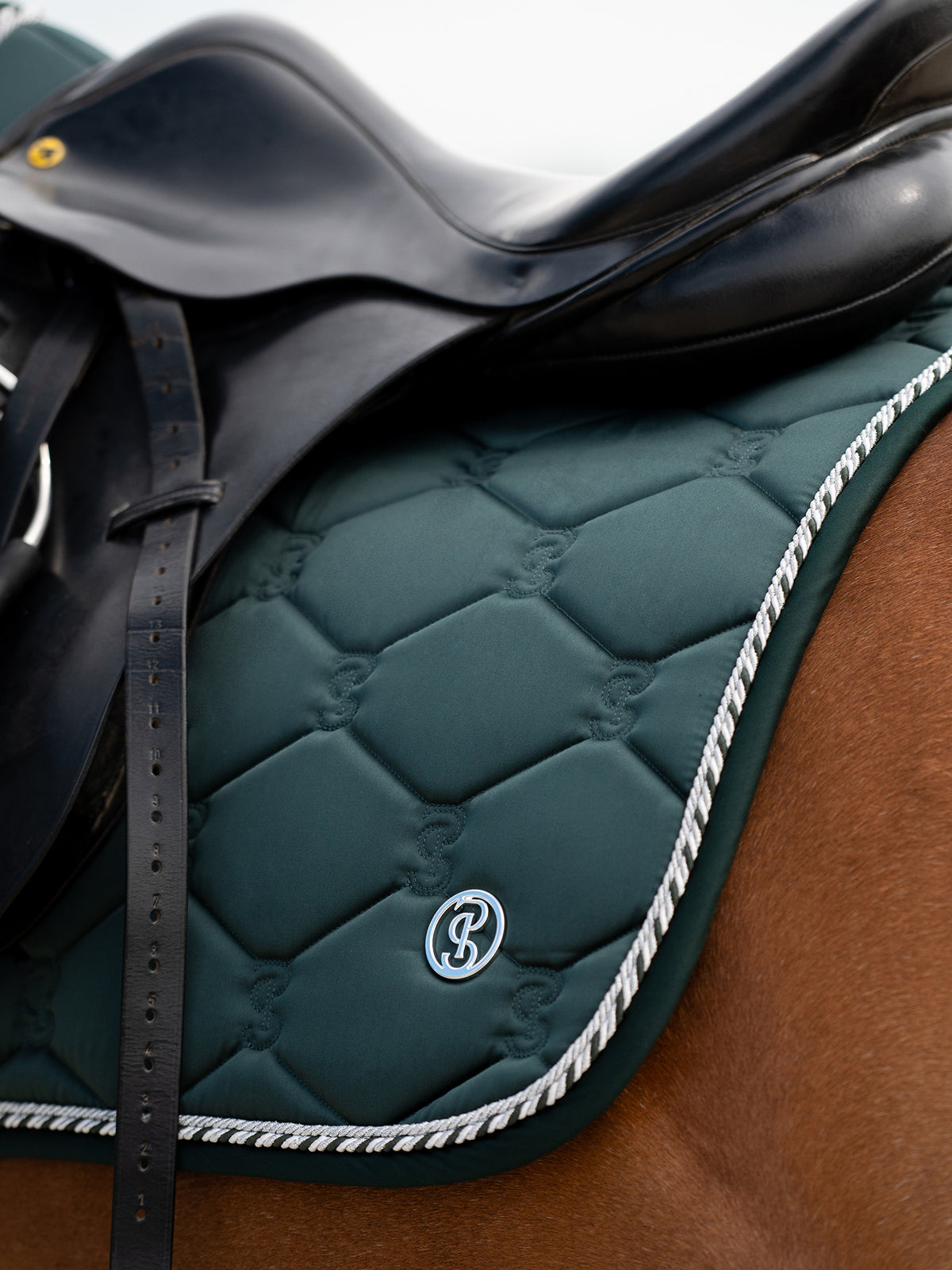 Saddle Pad Jump Signature Midnight green