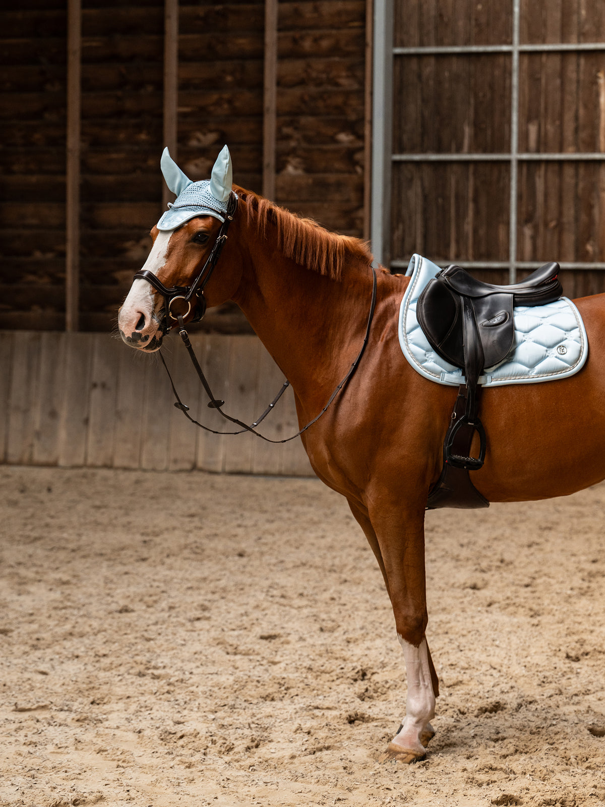 Saddle Pad Jump Signature Morning Breeze