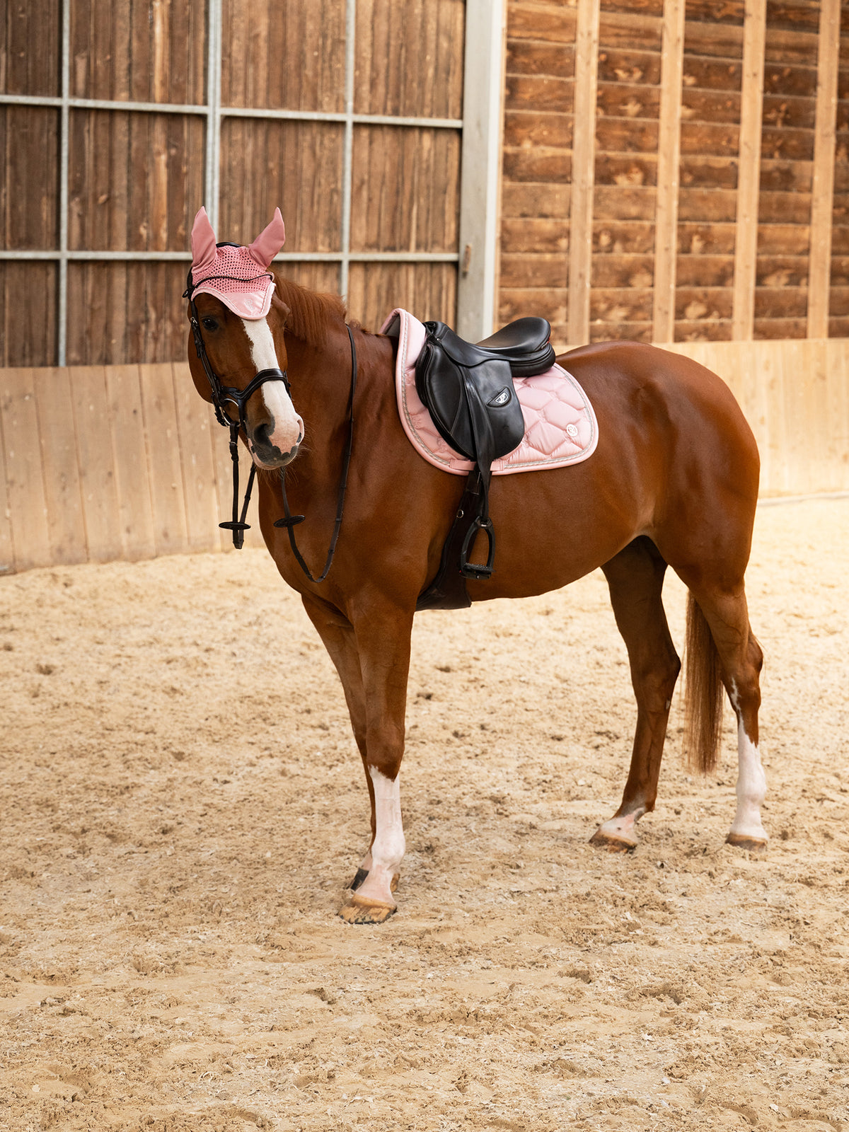 Saddle Pad Jump Signature Hortensia pink
