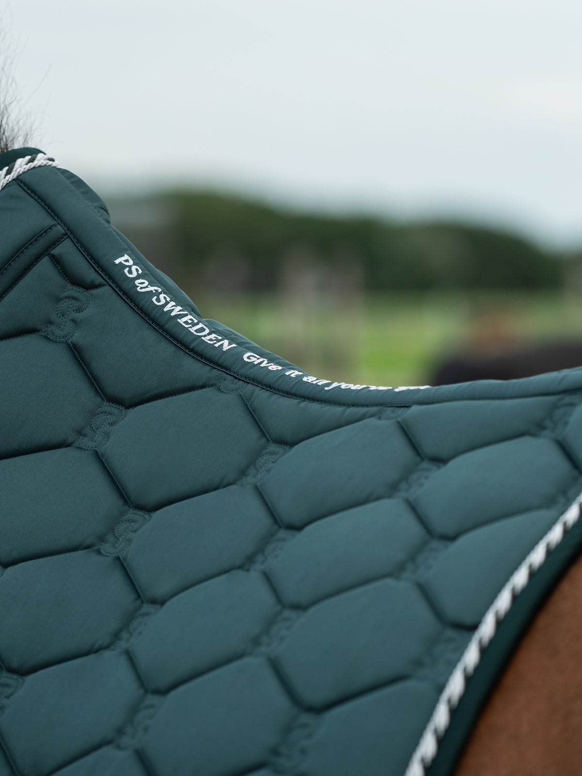 Saddle Pad Dressage Signature Midnight green
